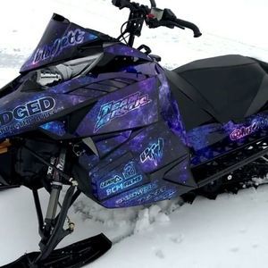 Meet your Posher, Chandler